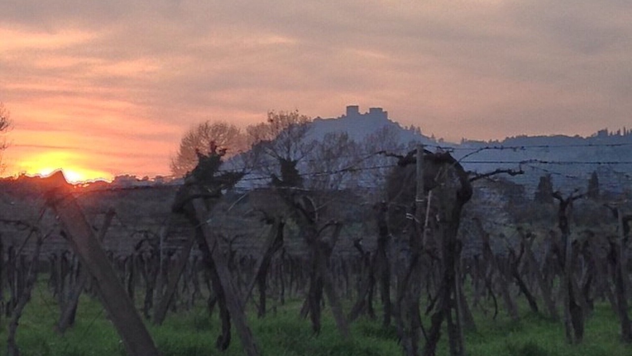 Photo of Outdoor in Roccastrada