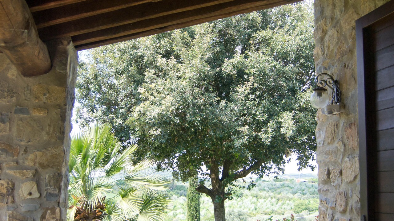 Photo of Outdoor in Campagnatico