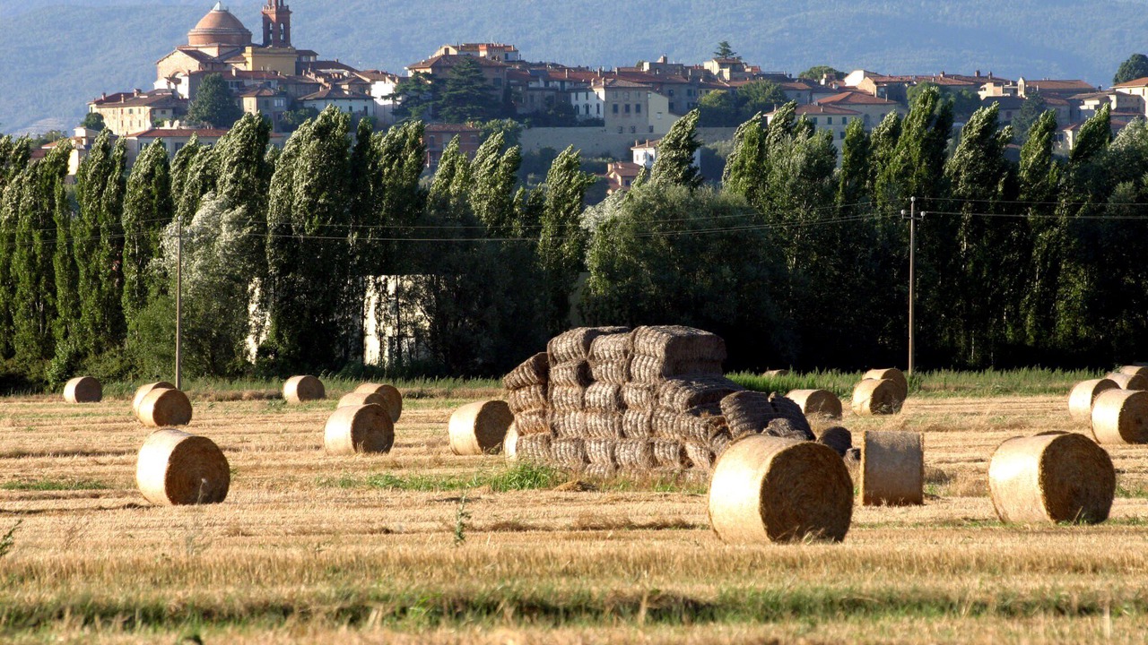 Photo of Outdoor in Casalini