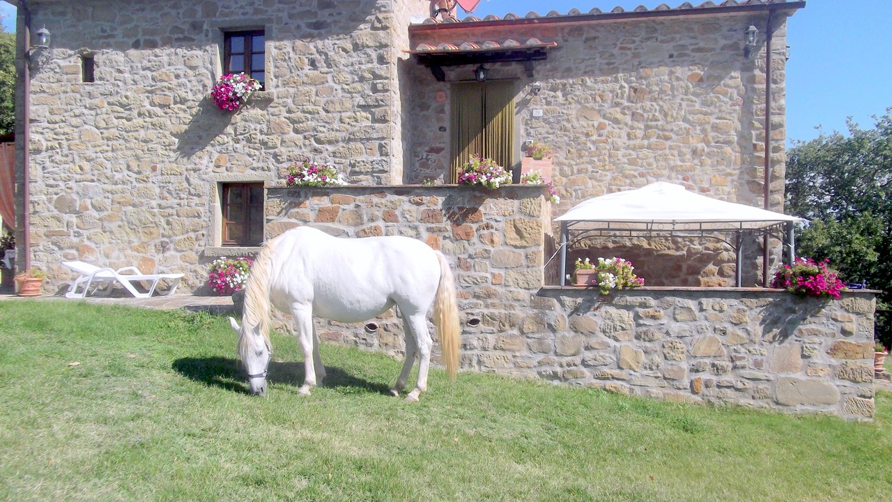 Photo of Outdoor in Bivio Lugnano