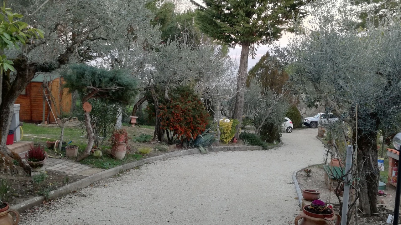 Photo of Outdoor in Collemancio