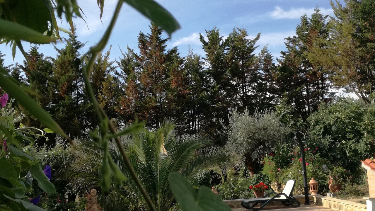 Photo of Outdoor in Collemancio