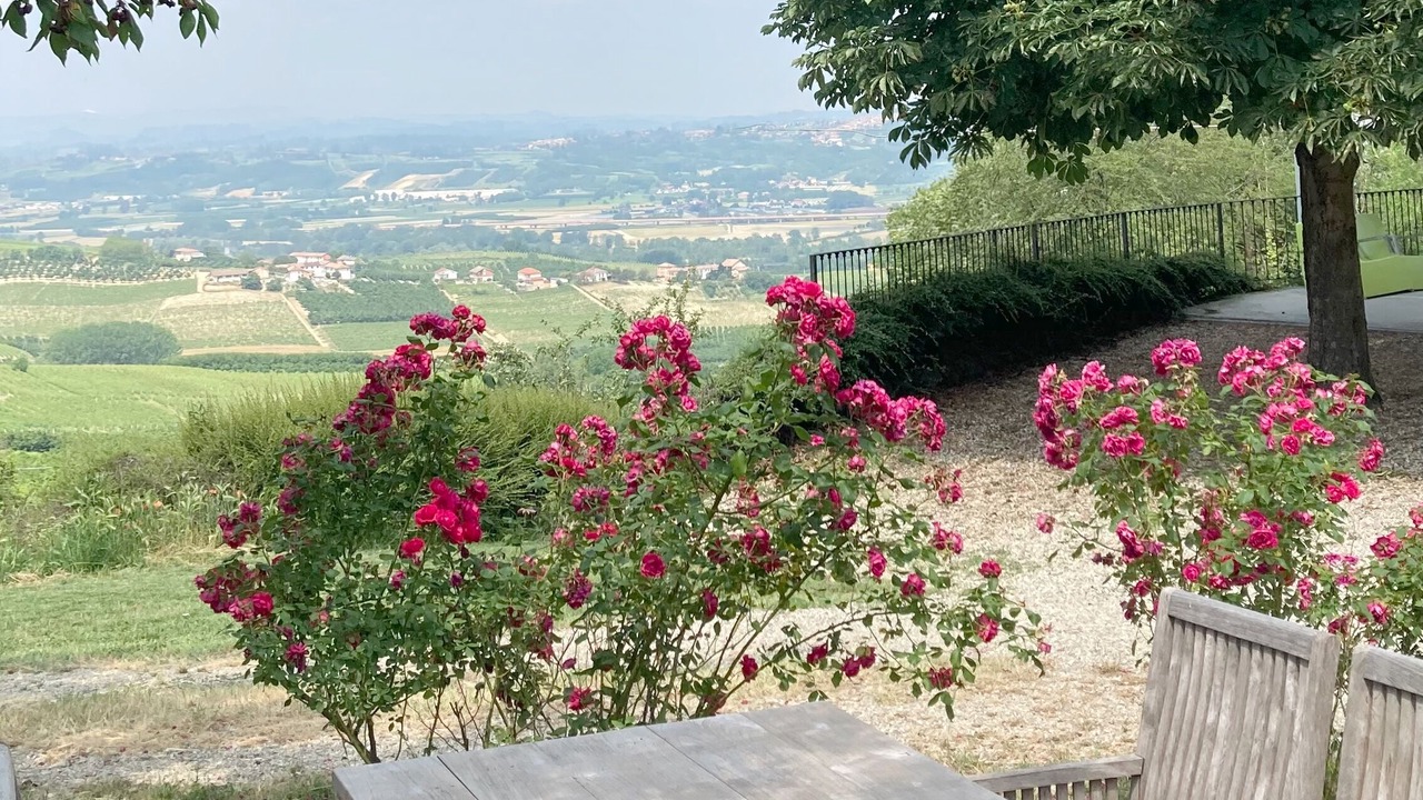 Photo of Outdoor in Costigliole d'Asti