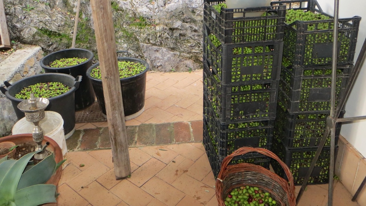 Photo of Outdoor in Dragonea