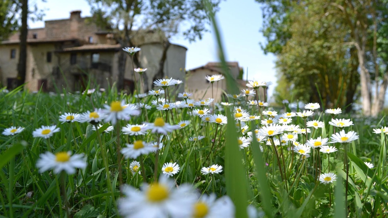 Photo of Outdoor in Bivio Lugnano