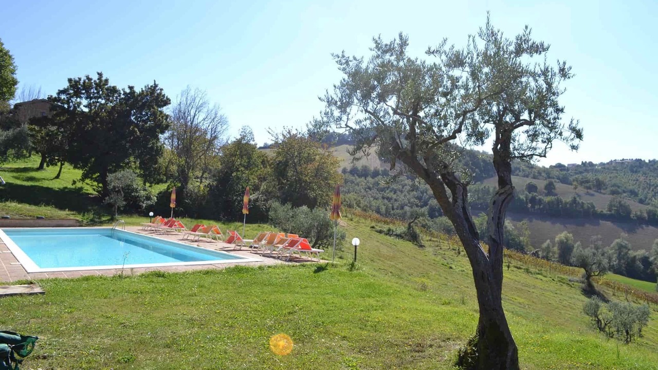 Photo of Outdoor in Monteluiano