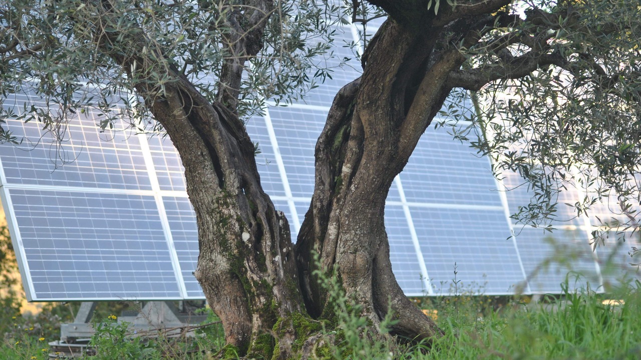 Photo of Outdoor in Radicondoli