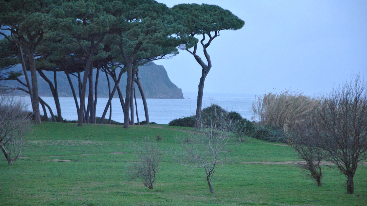 Photo of Outdoor in Radicondoli