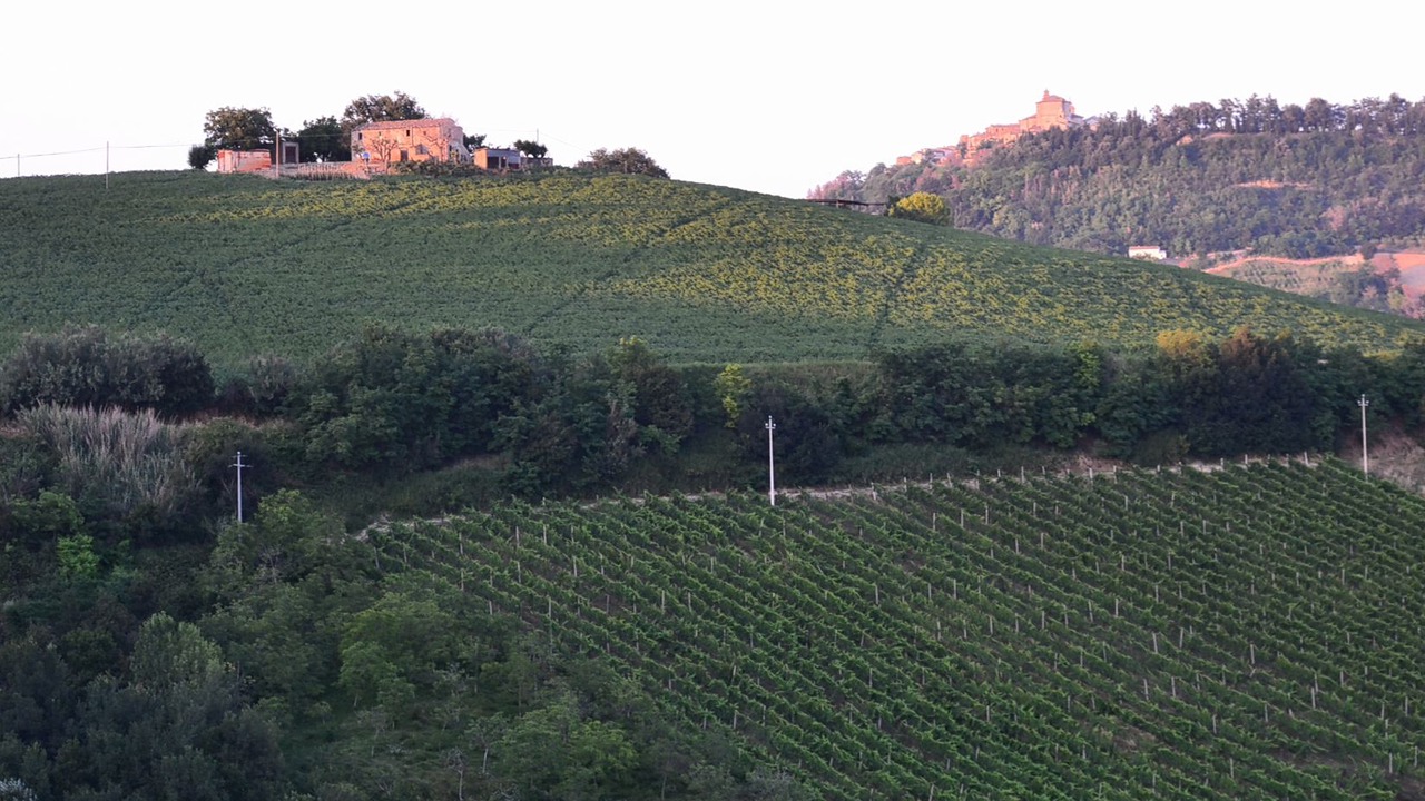 Photo of Outdoor in Montefiore dell'Aso