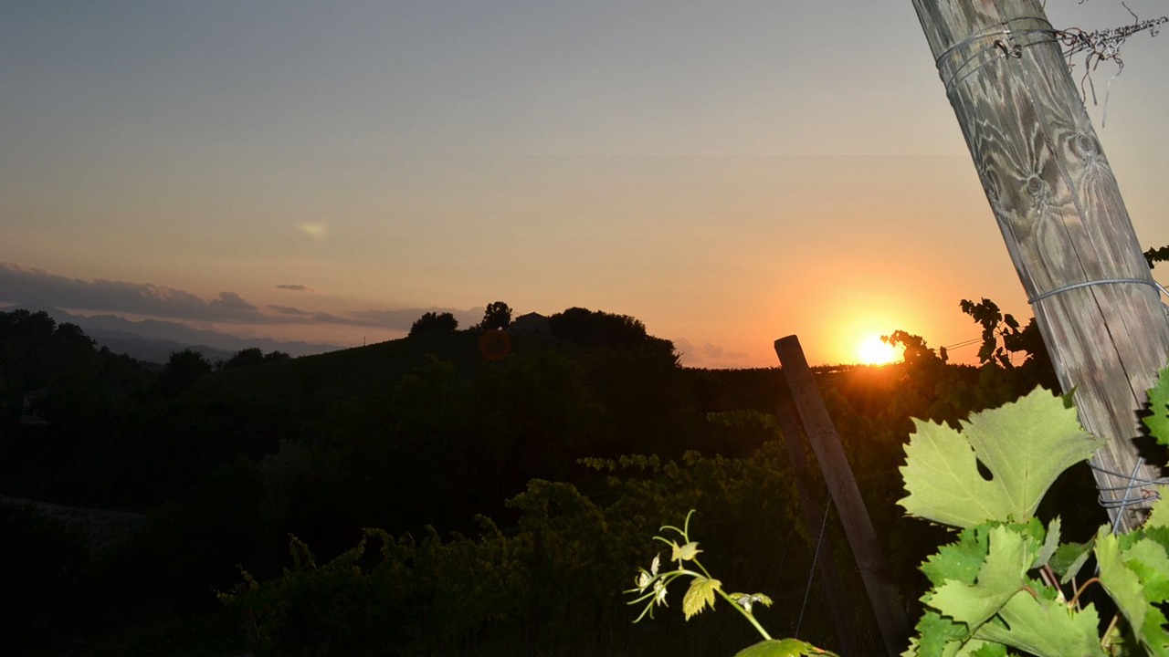 Photo of Outdoor in Montefiore dell'Aso