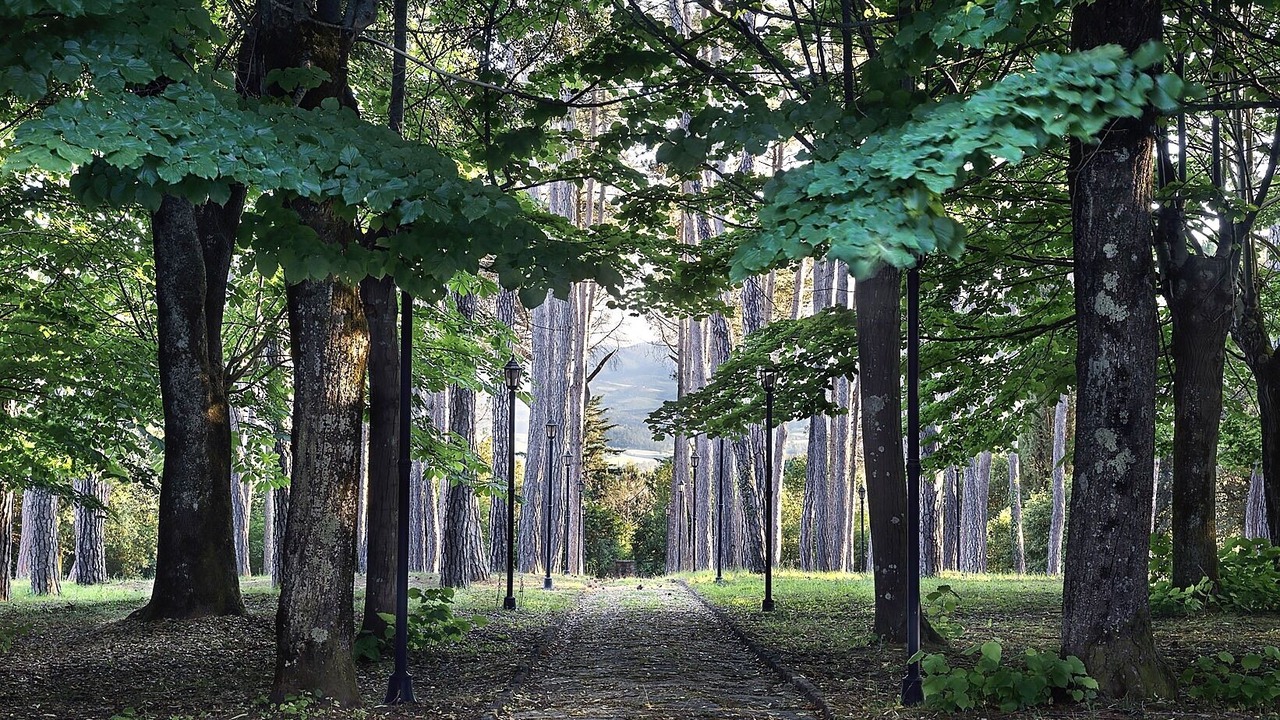 Photo of Outdoor in Citta della Pieve
