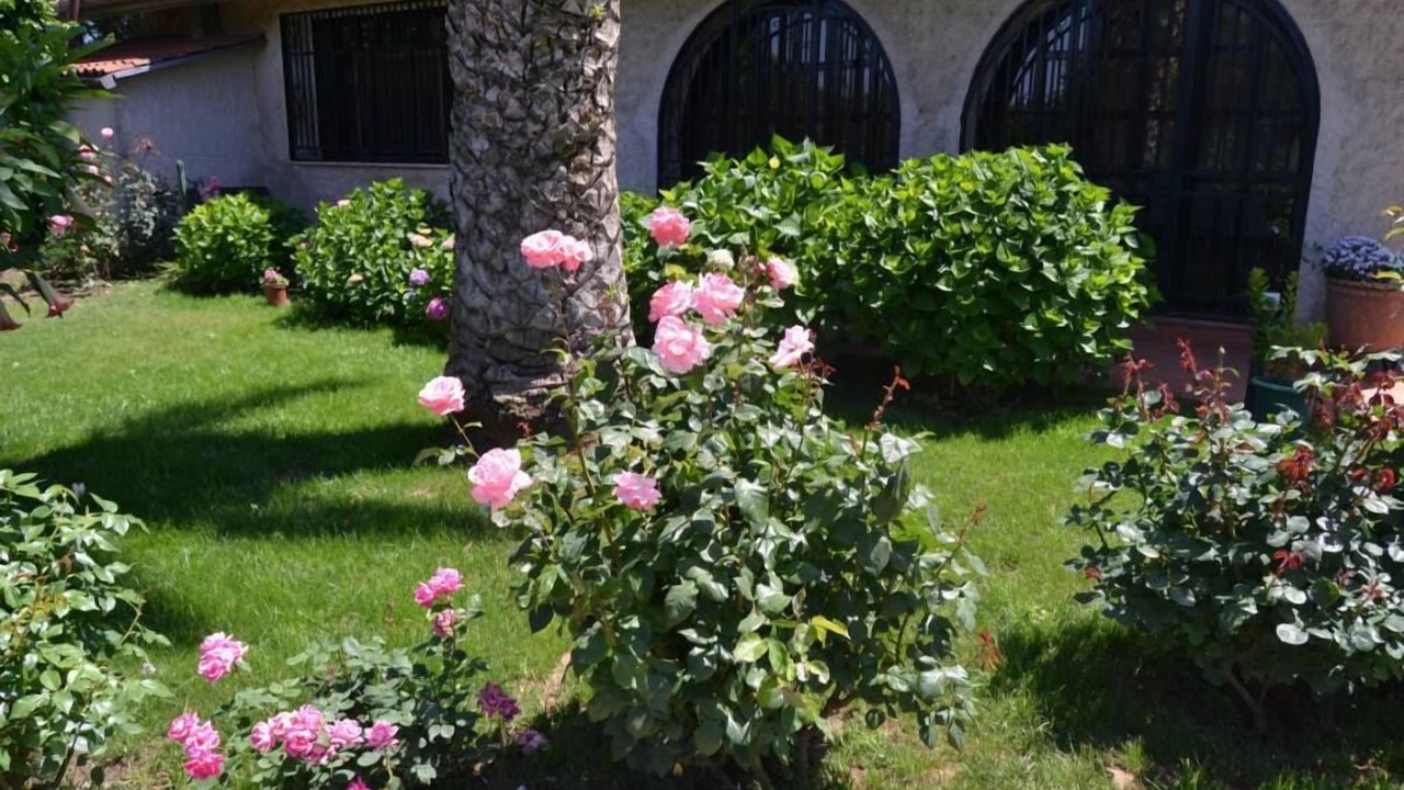 Photo of Outdoor in Battipaglia