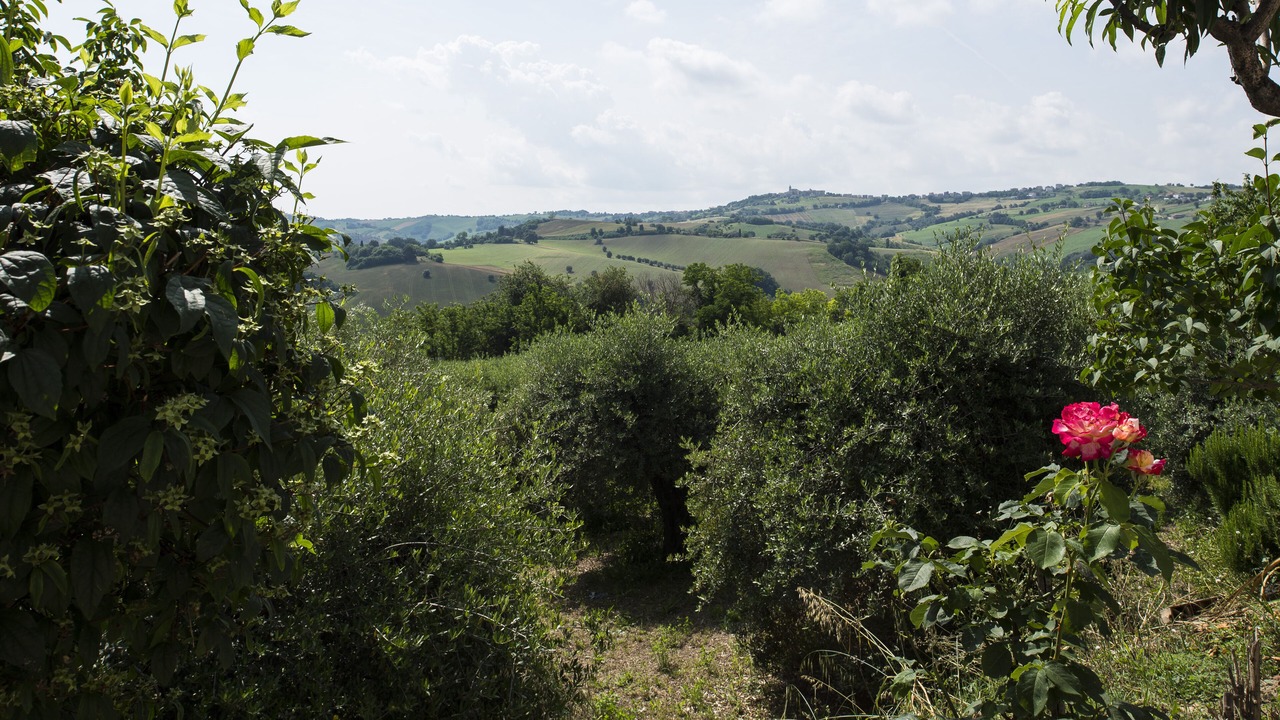 Photo of Outdoor in Monte San Pietrangeli
