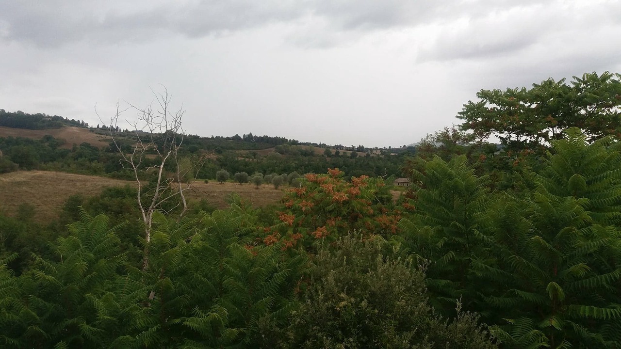 Photo of Outdoor in Montelovesco