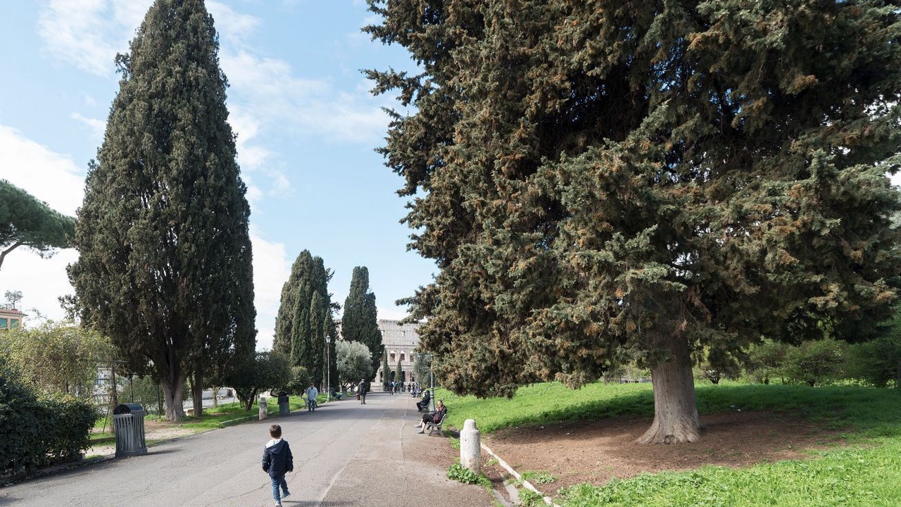 Photo of Others in Monti