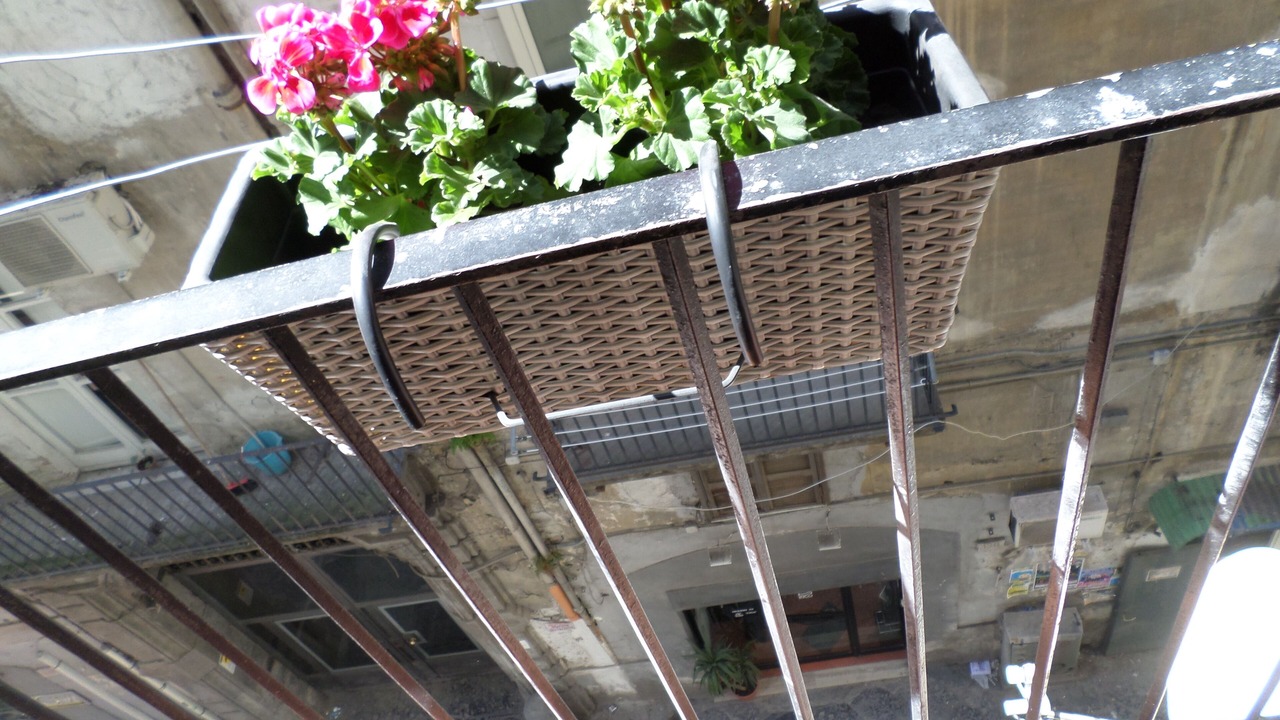 Photo of Outdoor in Historical Center