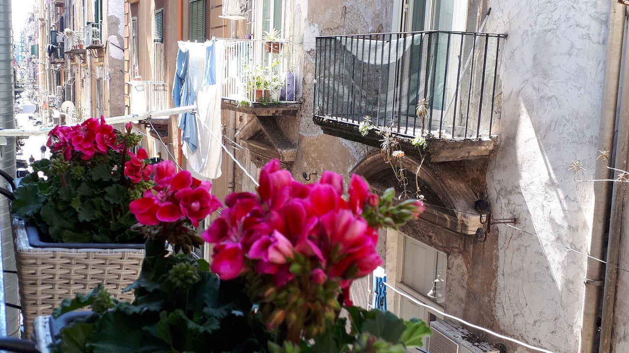 Photo of Outdoor in Historical Center