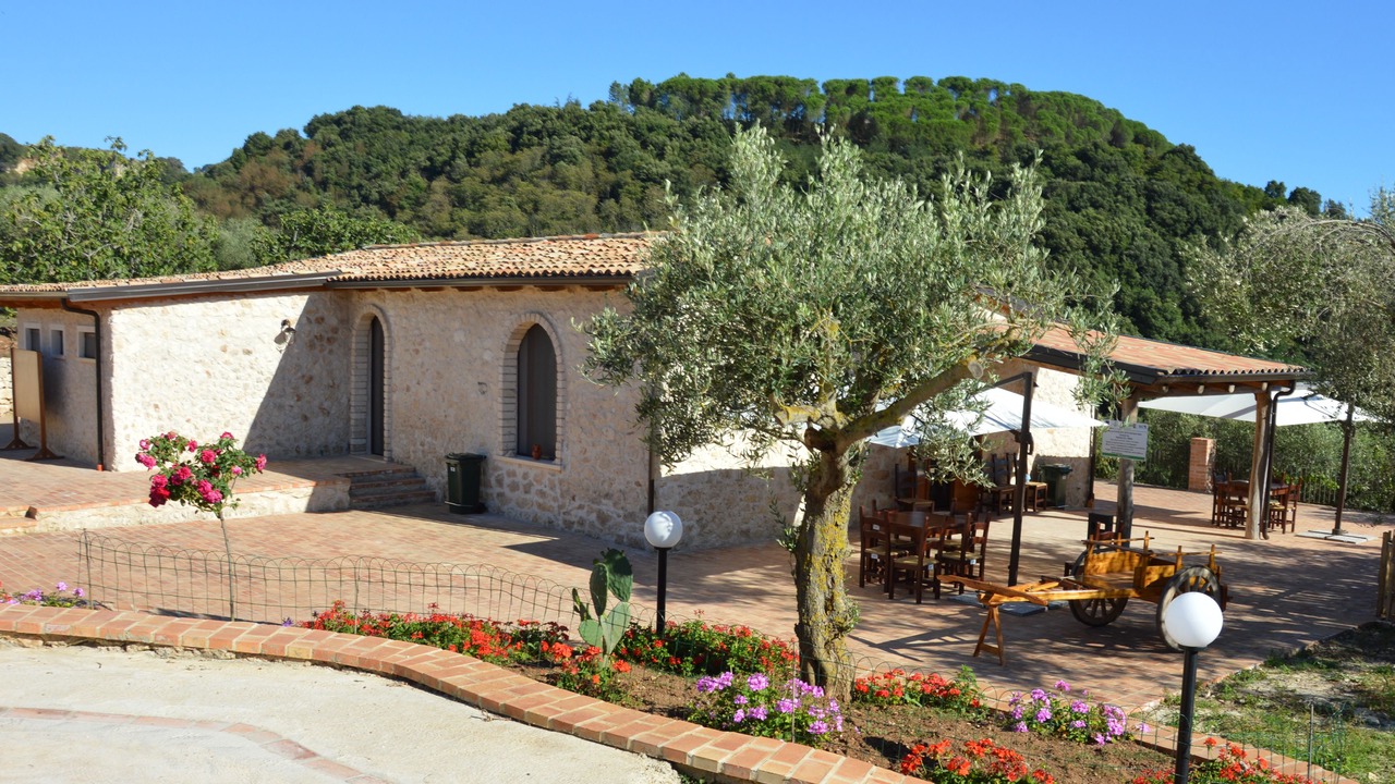 Photo of Patio Balcony in Zaccanopoli