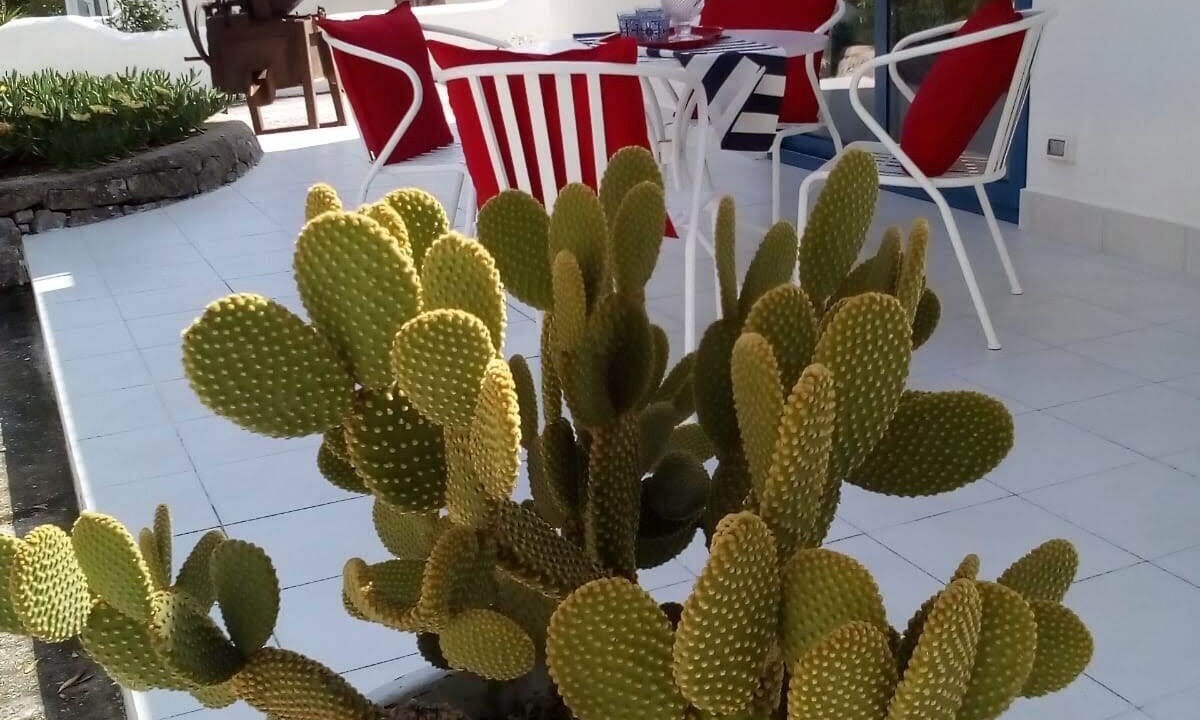 Photo of Outdoor in Mattinata