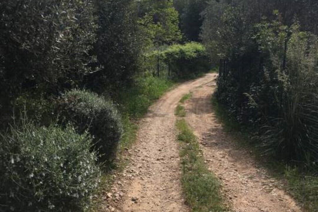 Photo of Outdoor in Porto Santo Stefano