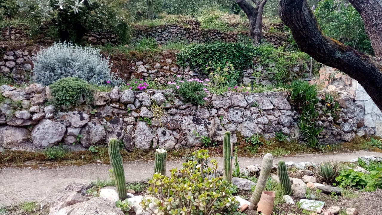 Photo of Outdoor in Porto Santo Stefano