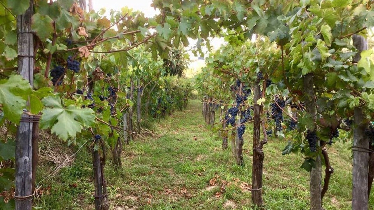 Photo of Outdoor in Salerno
