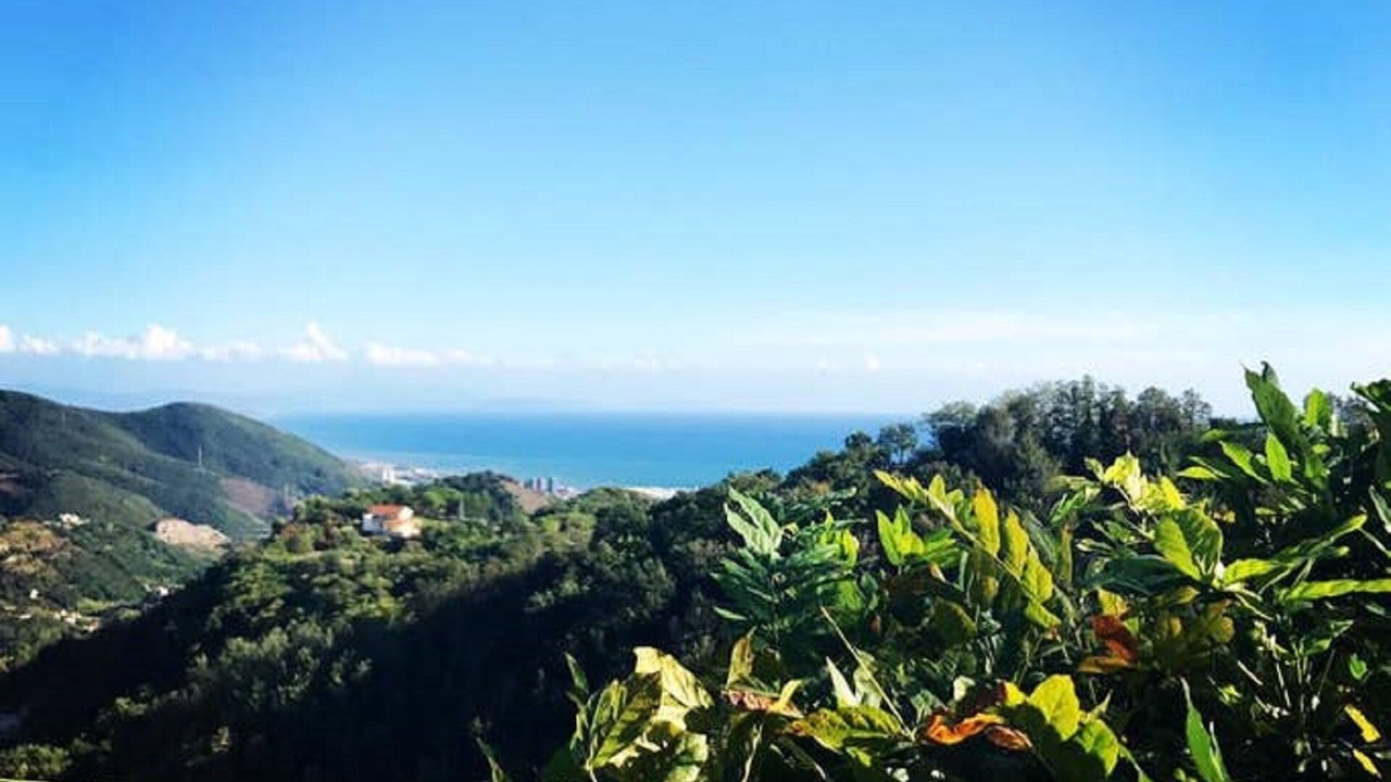Photo of Others in Salerno