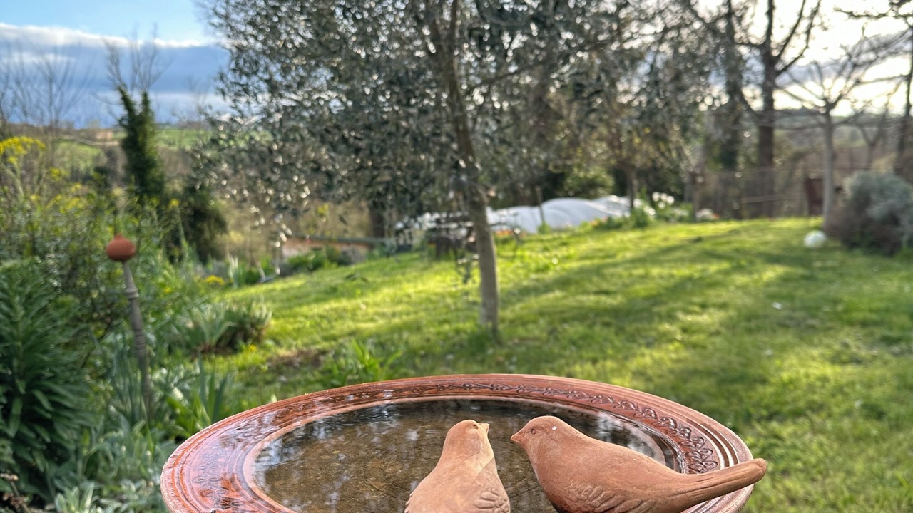 Photo of Outdoor in Barchi
