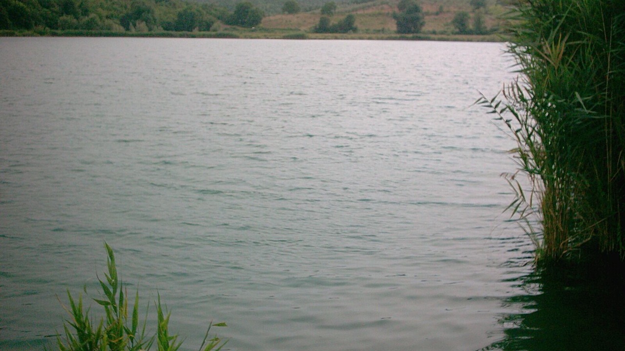 Photo of Outdoor in Gavorrano
