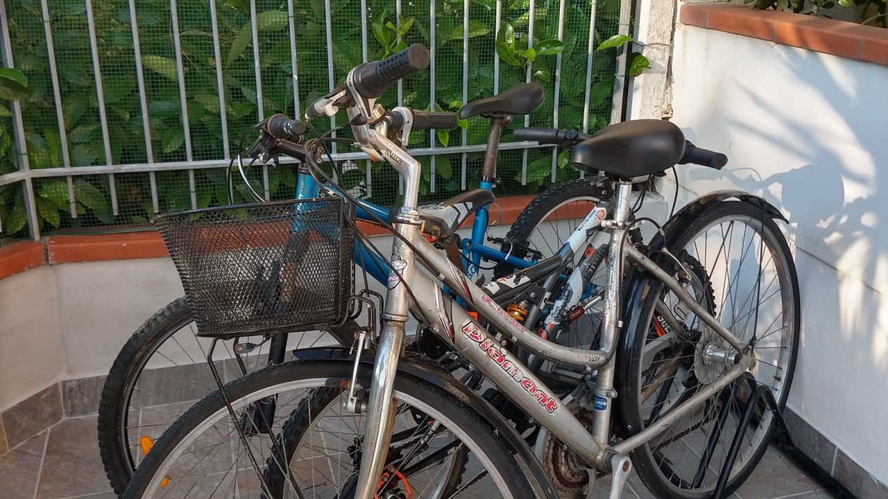 Photo of Outdoor in Tortoreto Lido