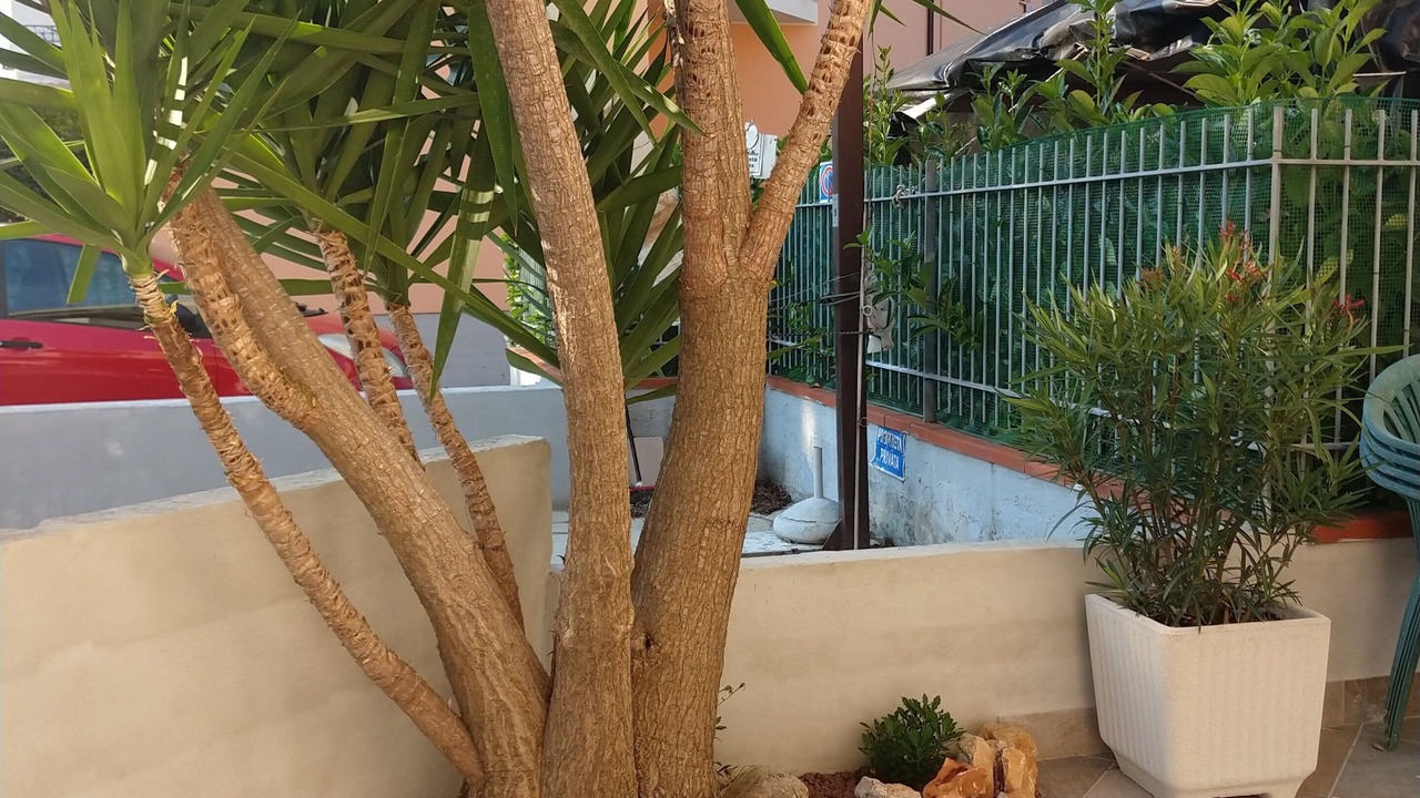 Photo of Outdoor in Tortoreto Lido