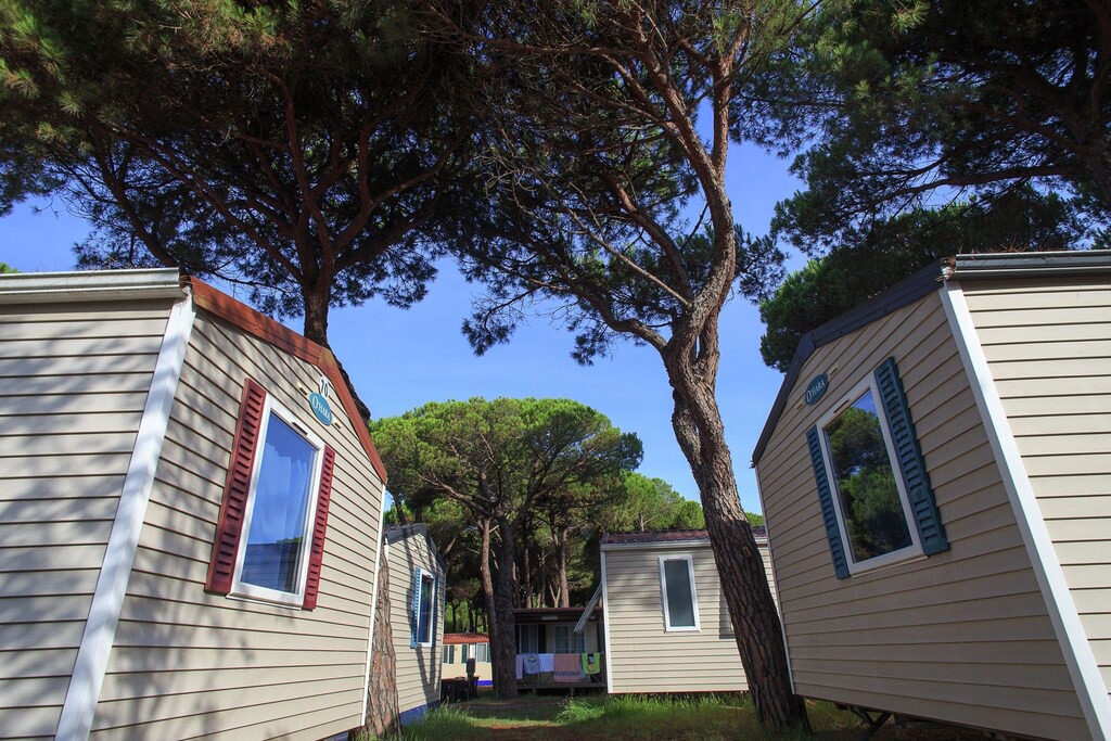Photo of Buildings in Zadina Pineta