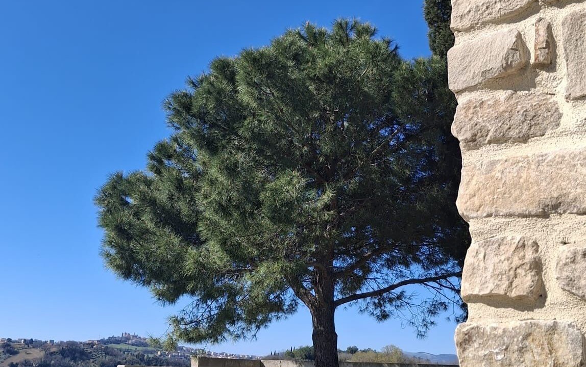 Photo of Outdoor in Filottrano