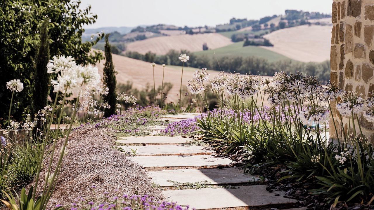 Photo of Outdoor in Filottrano