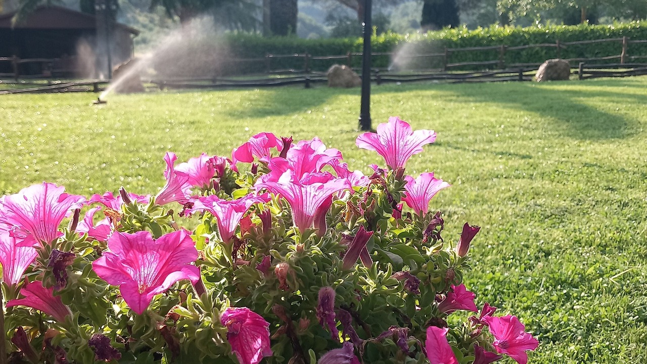 Photo of Outdoor in Massa Martana