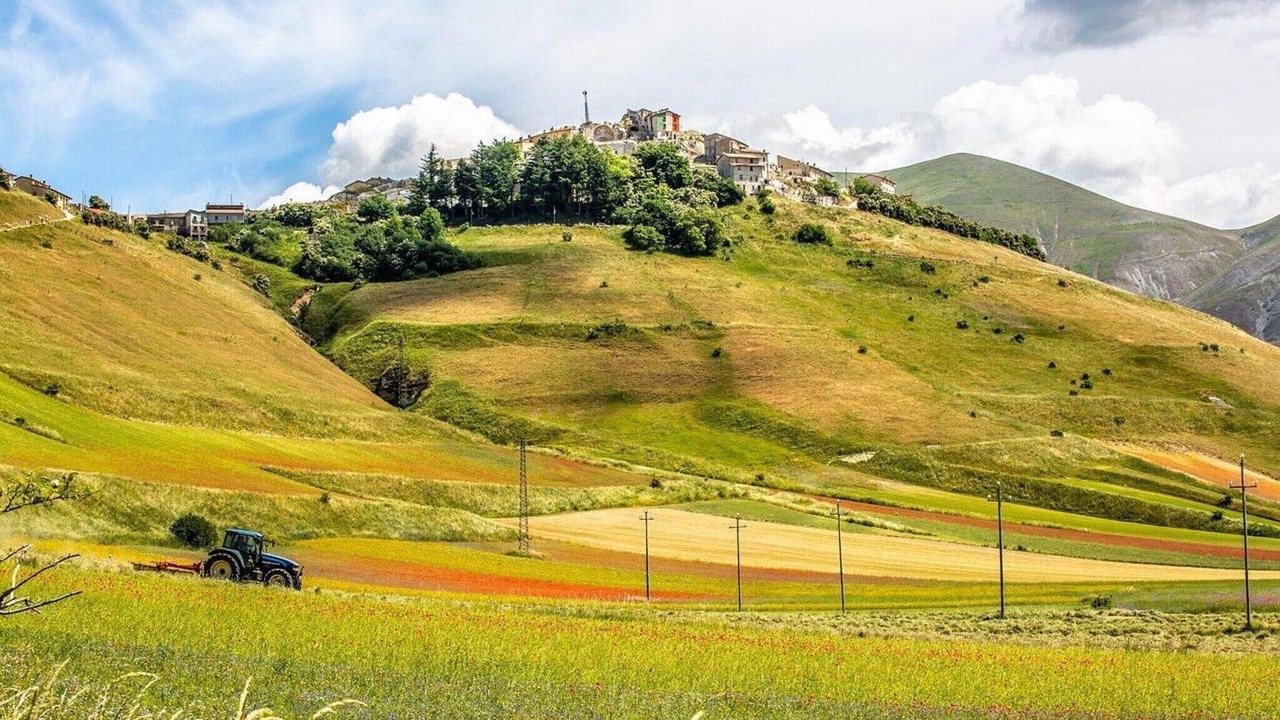 Photo of Others in Assisi