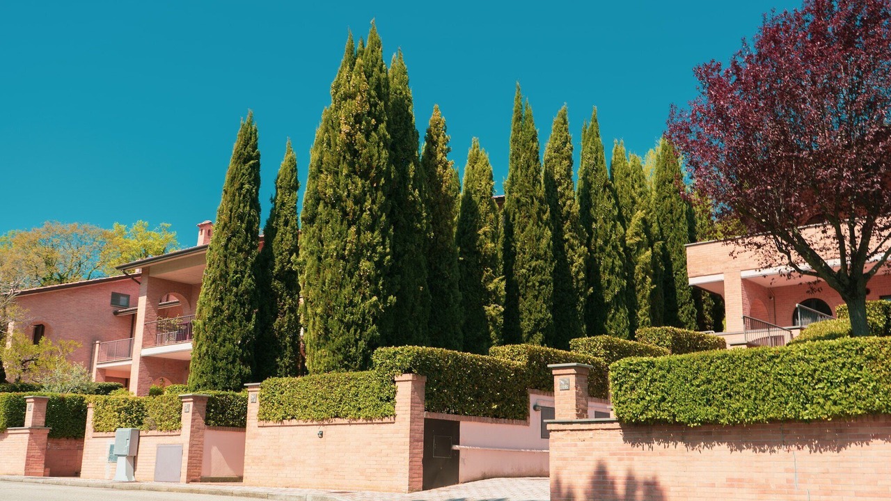 Photo of Outdoor in Assisi