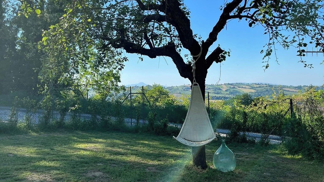 Photo of Outdoor in SantʼAngelo in Pontano