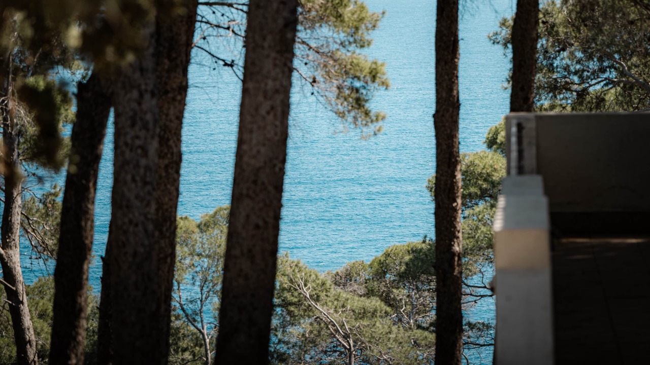 Photo of Others in Tremiti Islands