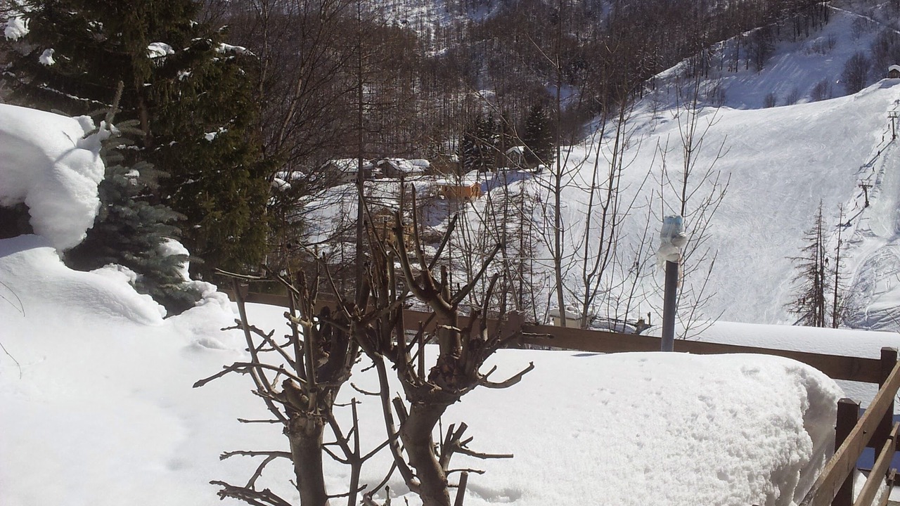 Photo of Others in Balme