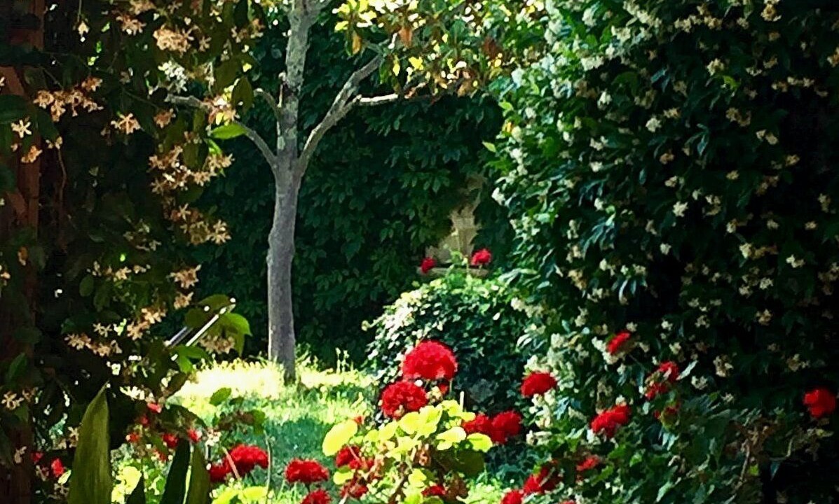 Photo of Outdoor in Narni