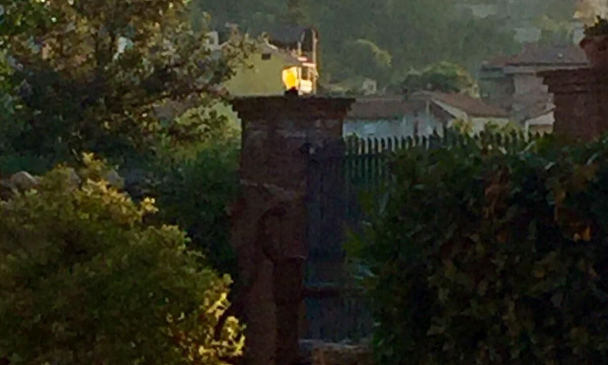 Photo of Others in Narni