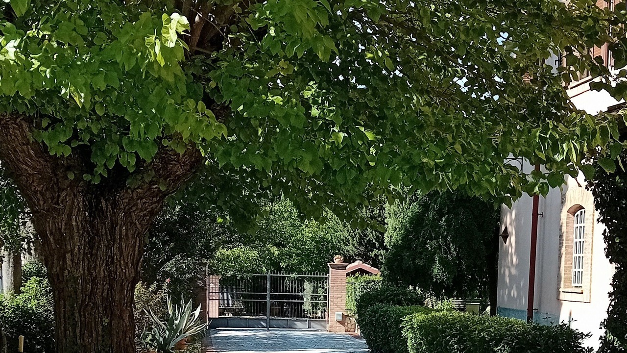 Photo of Outdoor in Narni