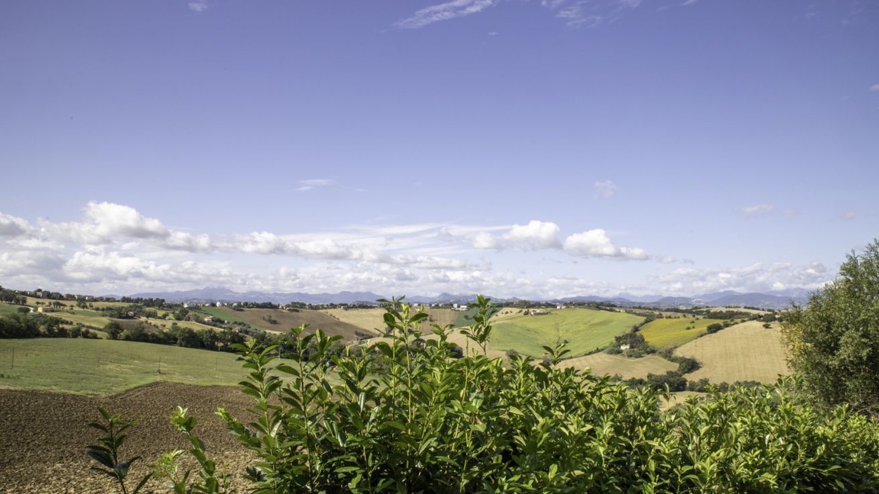 Photo of Others in Belvedere Ostrense