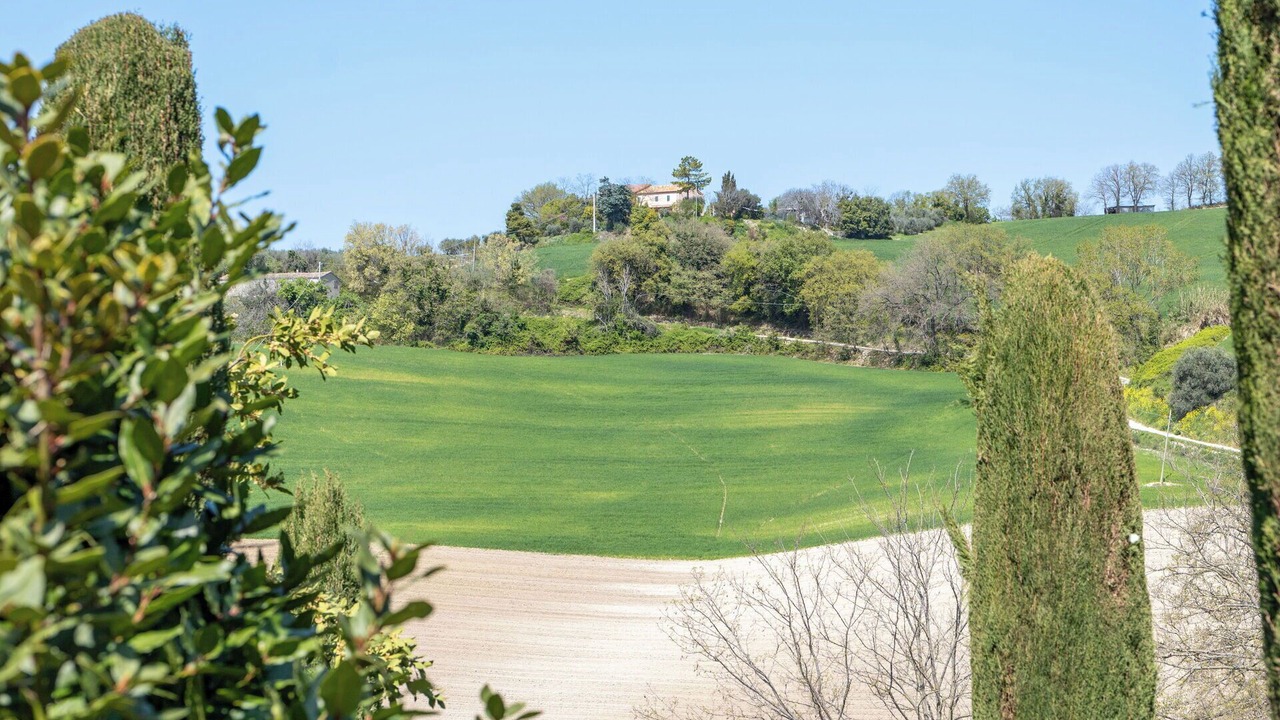 Photo of Others in Bargni