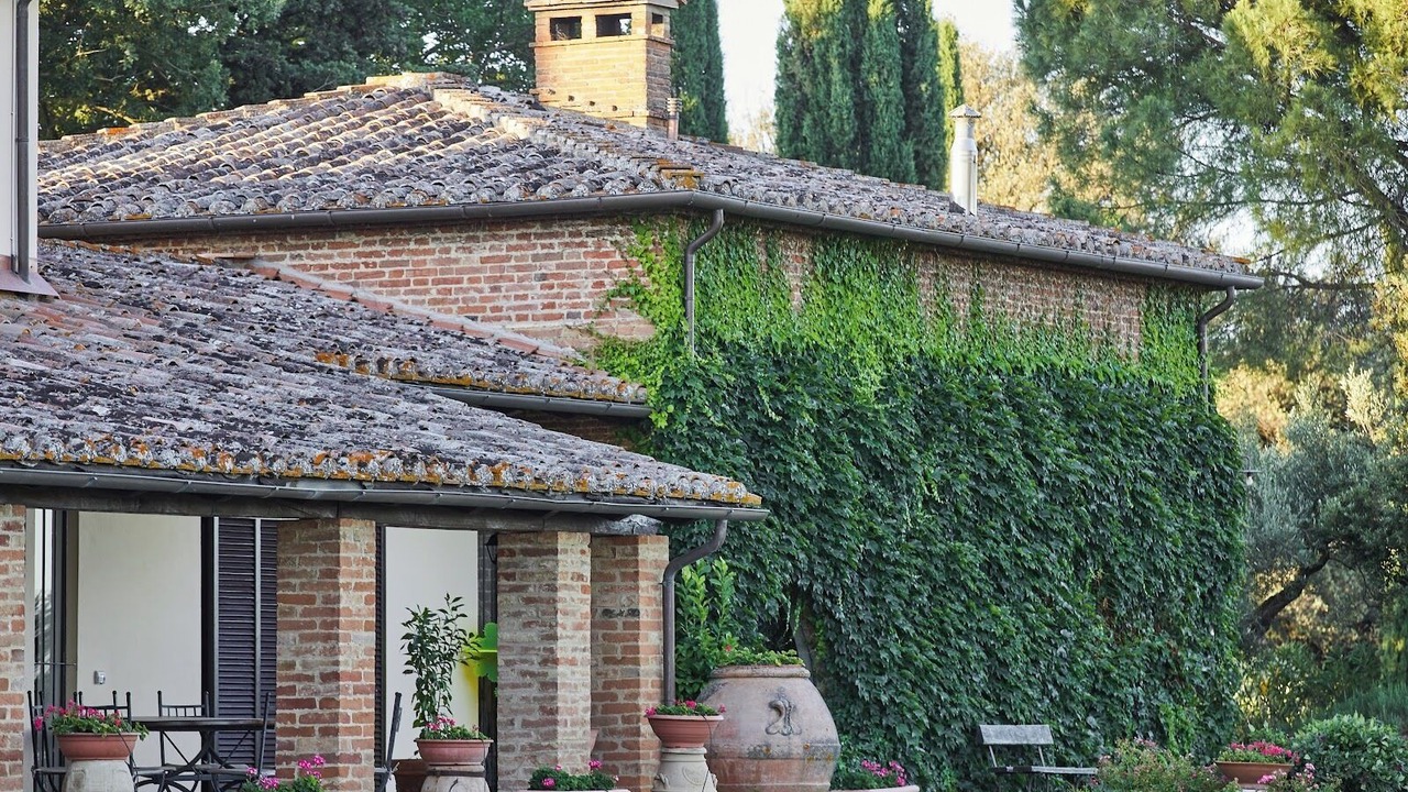 Photo of Outdoor in Castiglione del Lago