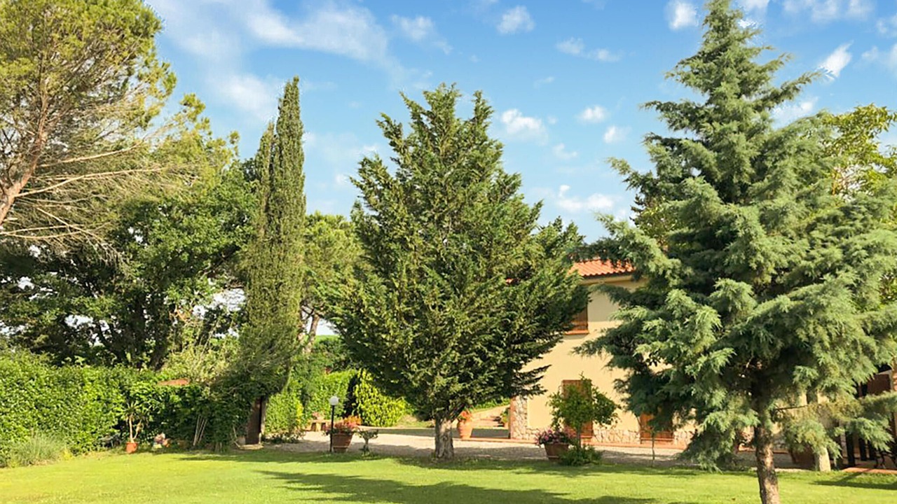 Photo of Others in Montecatini Val di Cecina