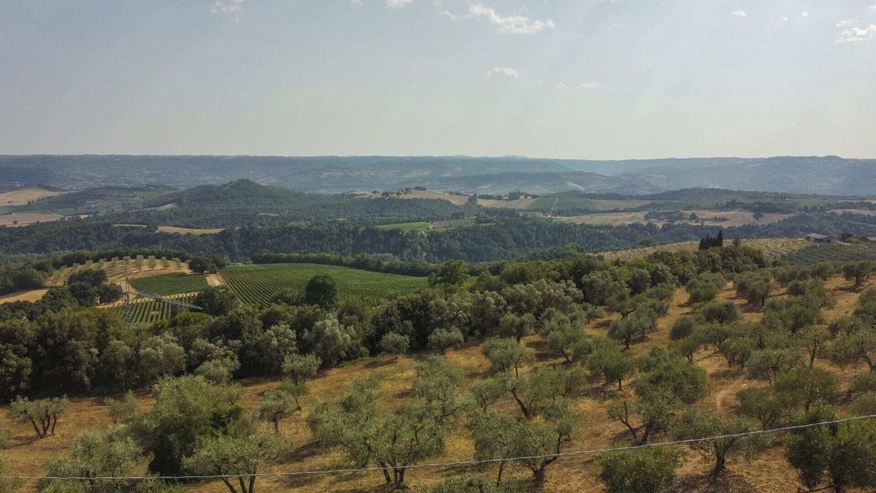 Photo of Others in Orvieto