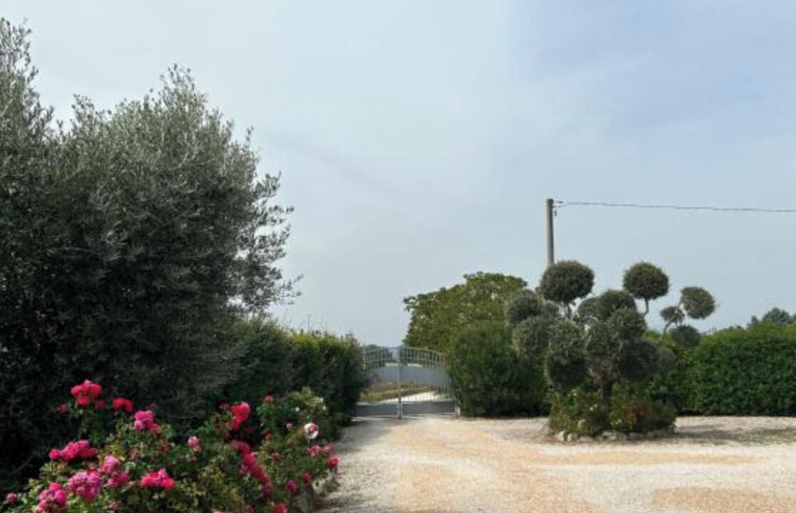 Photo of Others in Tordibetto