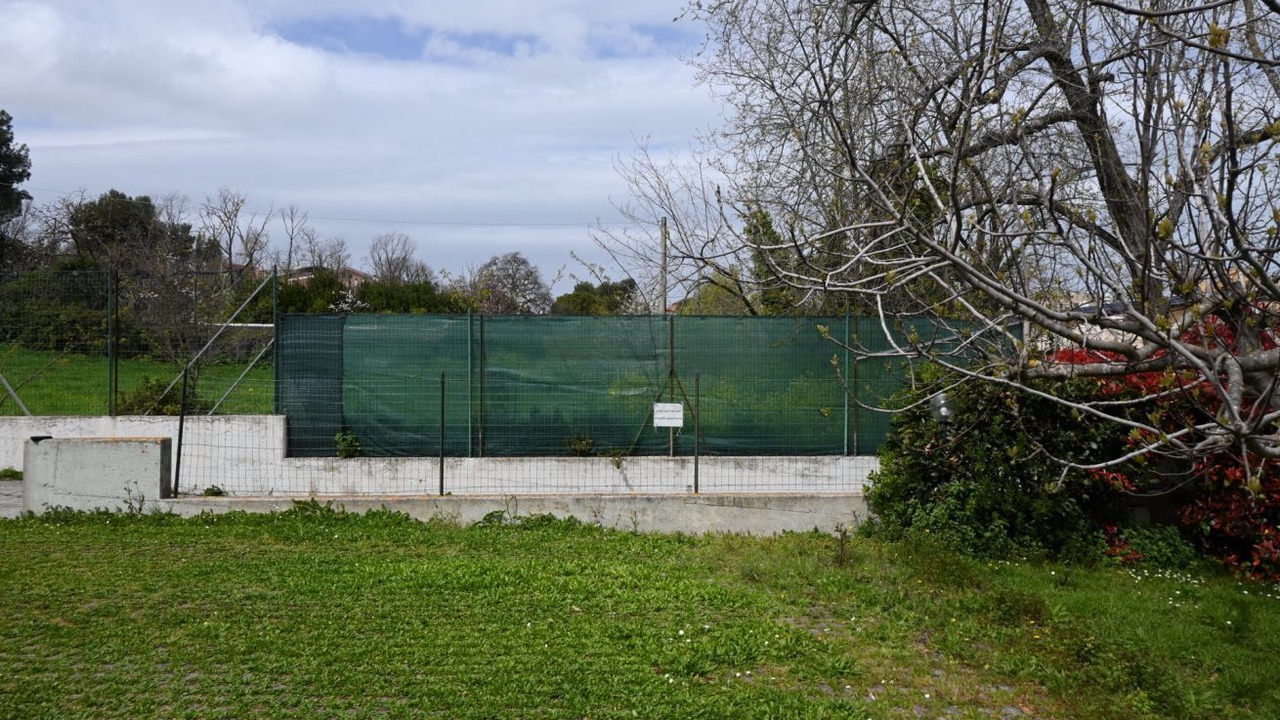 Photo of Others in Senigallia